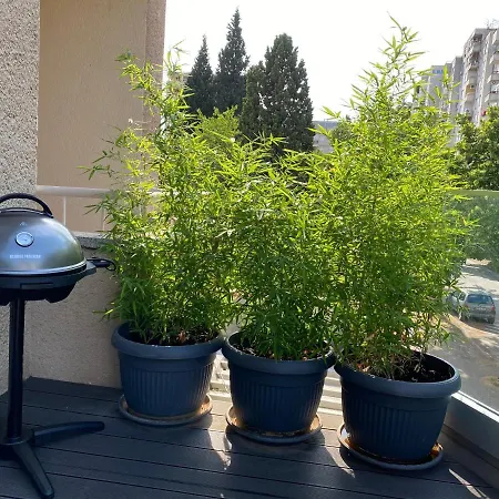 公寓 Big Tree & The Nest - Free Parking 莫斯塔尔