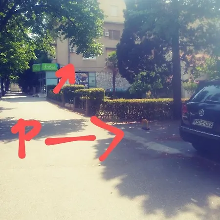 公寓 Big Tree & The Nest - Free Parking *